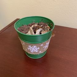 Flower Pot 