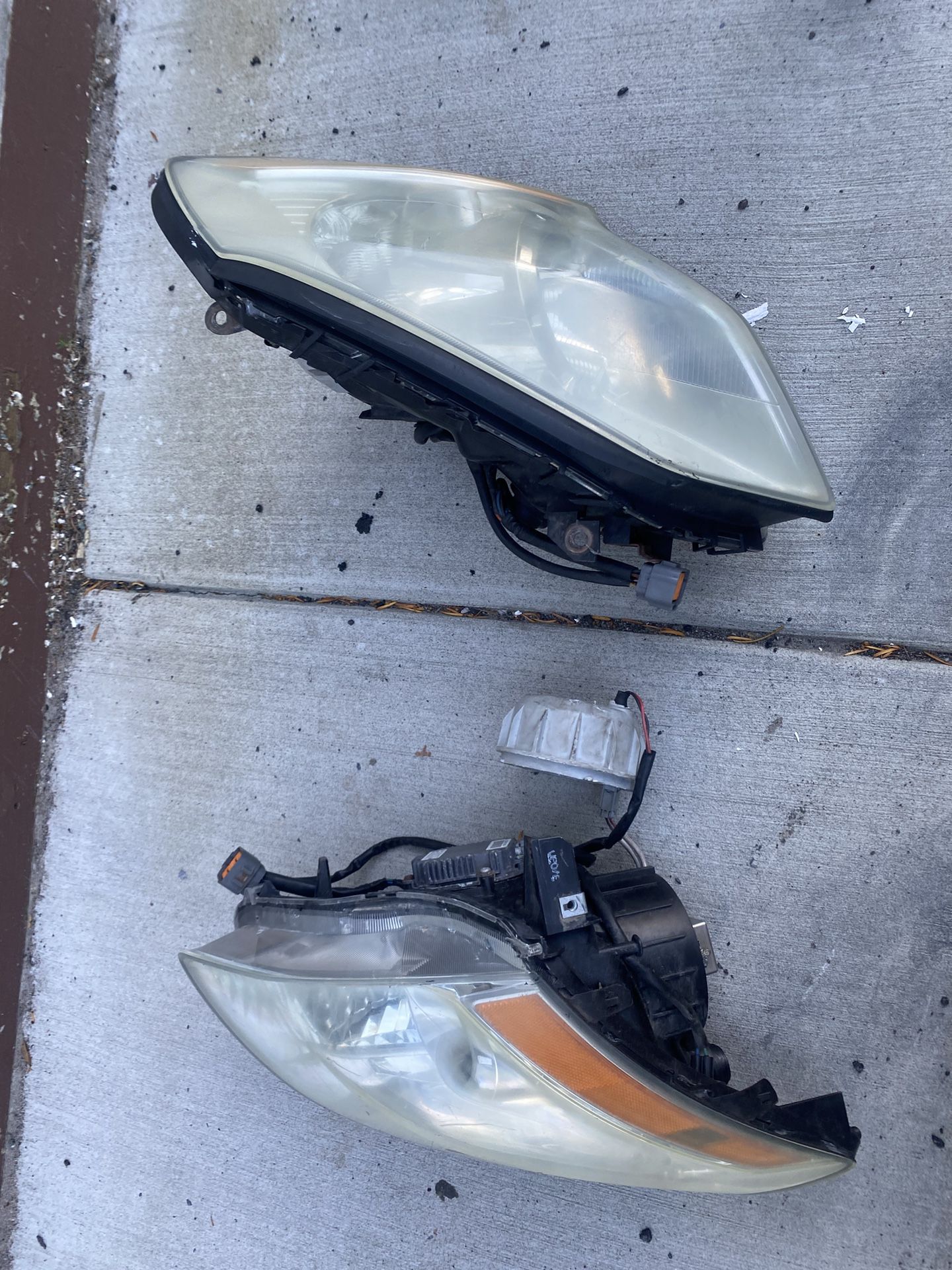 2007 Maxima Headlights Hid