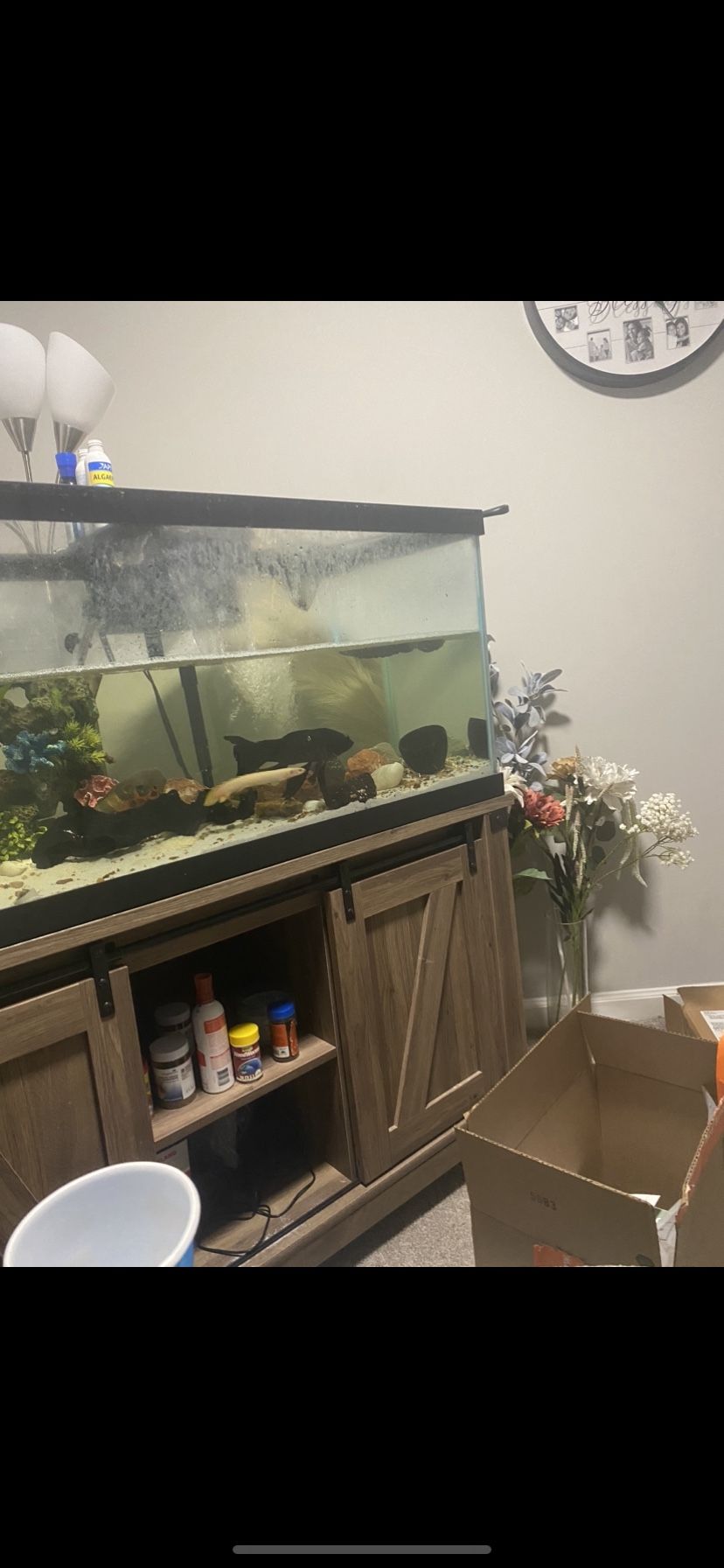 80 Gallon Fish Tank With Fish Tank Stand