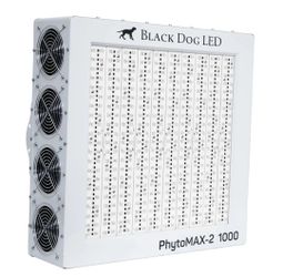 Black dog LED Grow Light
