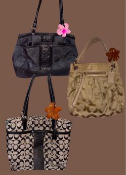 3 bags