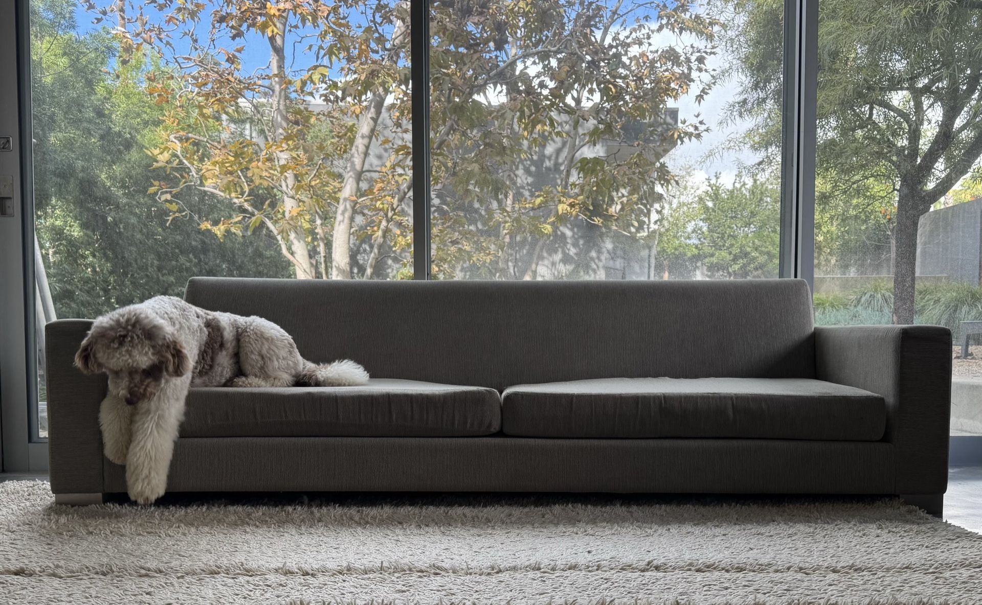 Viesso Modern Couch - PENDING