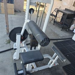 AB Abdominal And Back Fitness Workout Exercise Home Gym Weight Machine