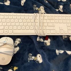 Hp Keyboard And Hp Mouse For Work Or Gaming