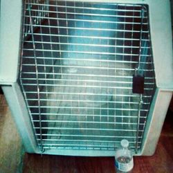 Jaulas. Para. Mascotas