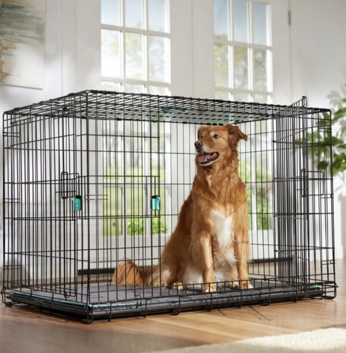 Dog Crate