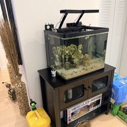 50 Gallon Fish Tank