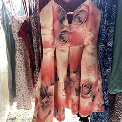 Papaya Dress Size Large $5