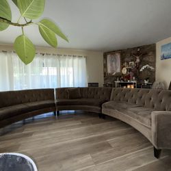 Velvet Couch 