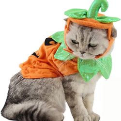 Bolbove Pet Pumpkin Costume for Cats & Small Dogs Party Halloween Cosplay Free Size Orange