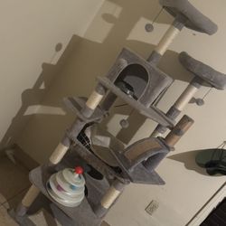 Cat Tree