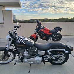 HD  CUSTOM LOW RIDER
