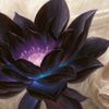 BlaqqLotus