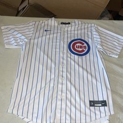 Chicago Cubs Nike Jersey Mens Adult Large White Pinstripe Mlb Vintage Clean