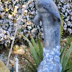 Dolphin Water Fall