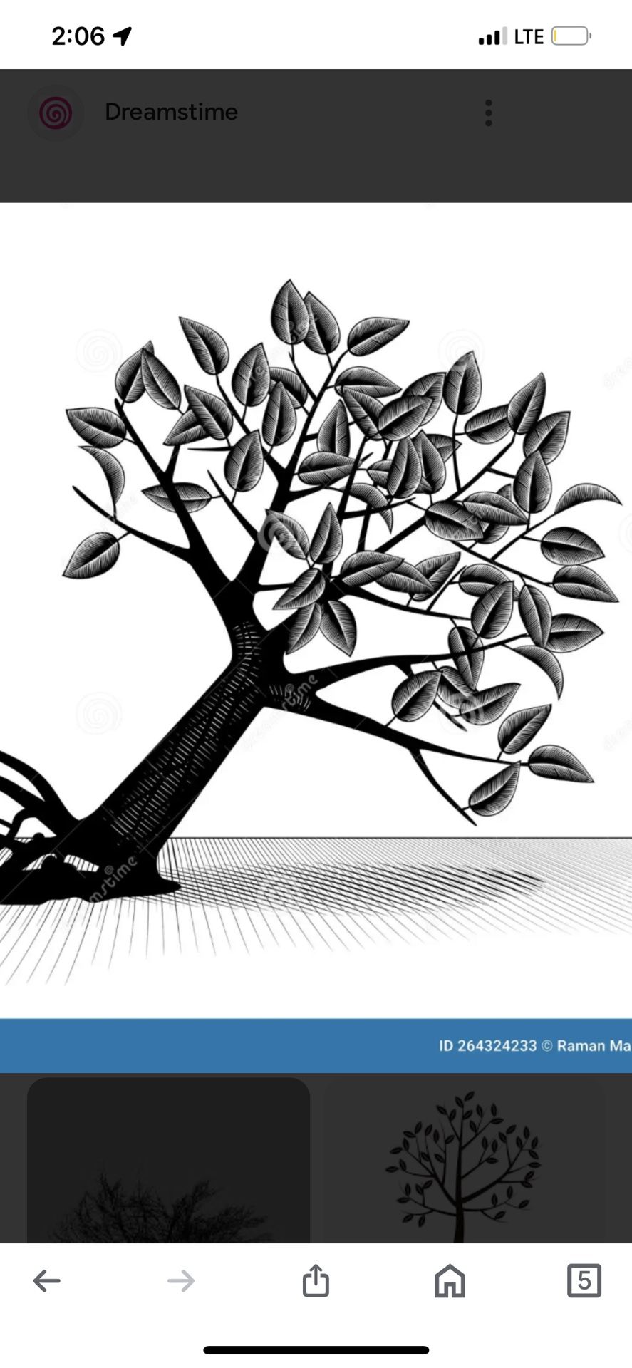 Limpieza Y Poda De Arboles