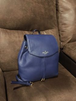 Brand New Blue Back Pack