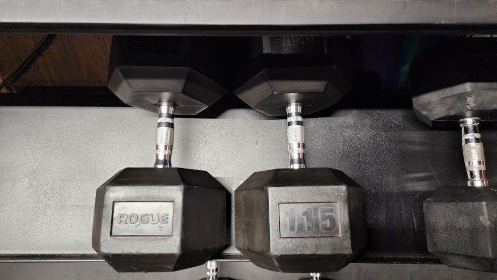 Rogue 115lb Dumbbells