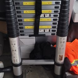 Telescoping Ladder 16'