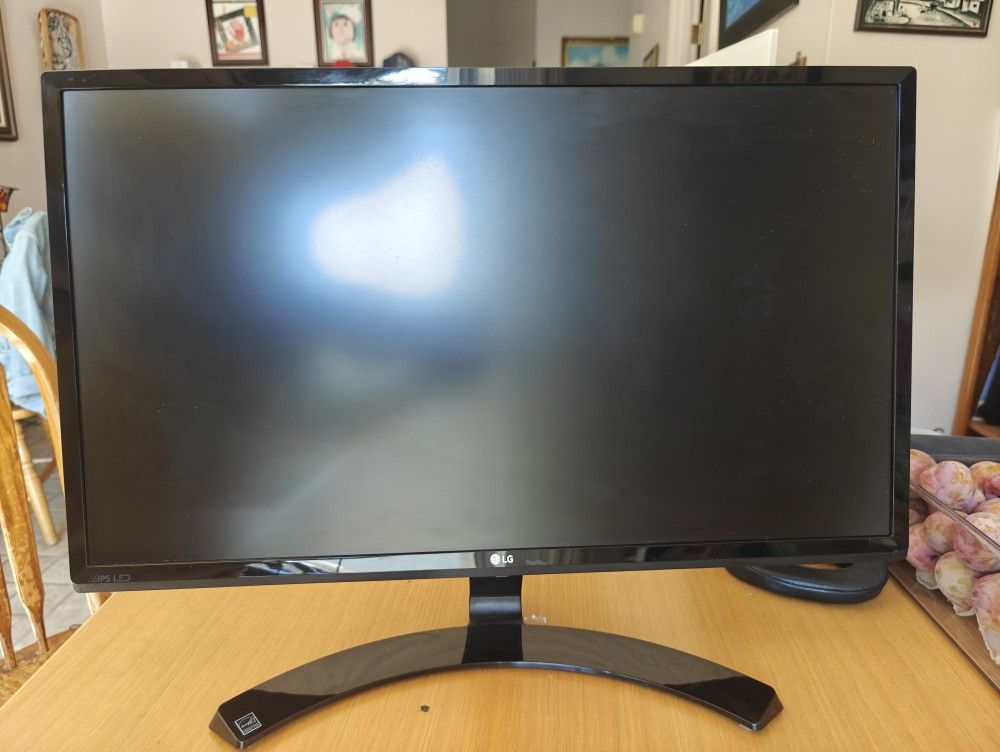 LG Computer Monitor + Speakers (24MP58VQ)