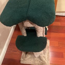 Cat Playground & Scratch Gym
