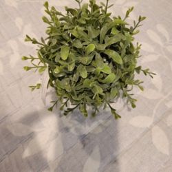 Boxwood Greenery Artificial Sphere