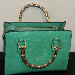 Money green purse 