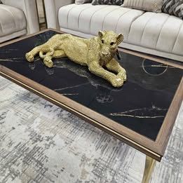 New Arrival!!! Contemporary Coffee Table