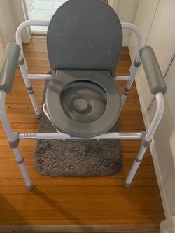 Portable toilet