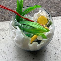 Fish Tank