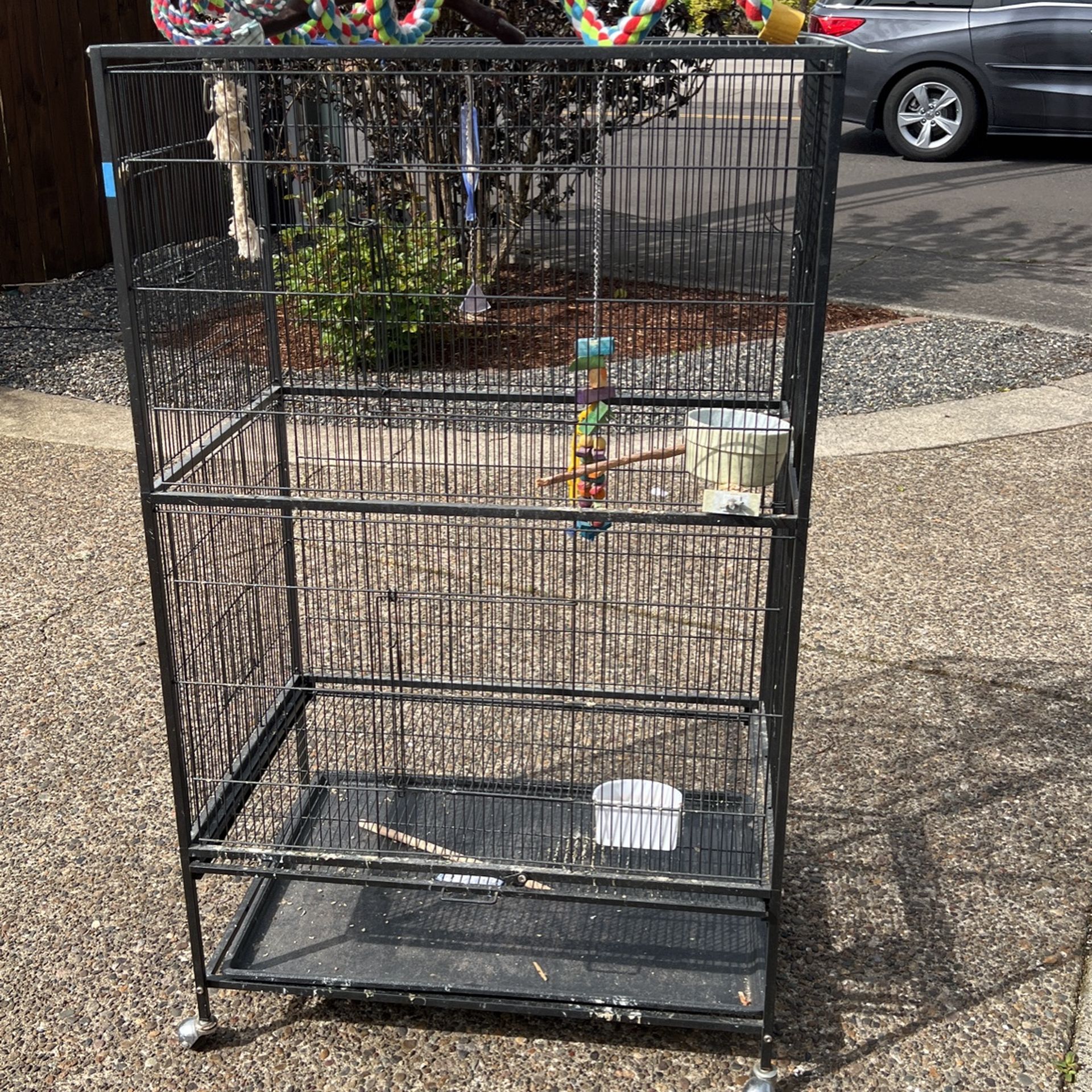 Birdcage