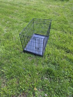 Folding Medium Black Metal Dog Cage