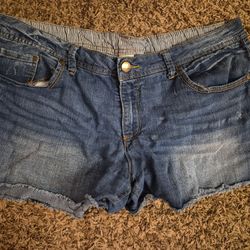 Size 18 Shorts 