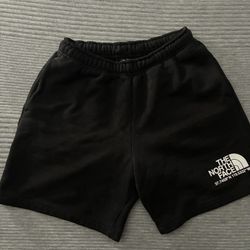 The North Face Shorts Size S
