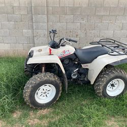 Yamaha Big Bear3504x4  And Honda Trx250