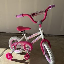 Bicycle Toddler Size