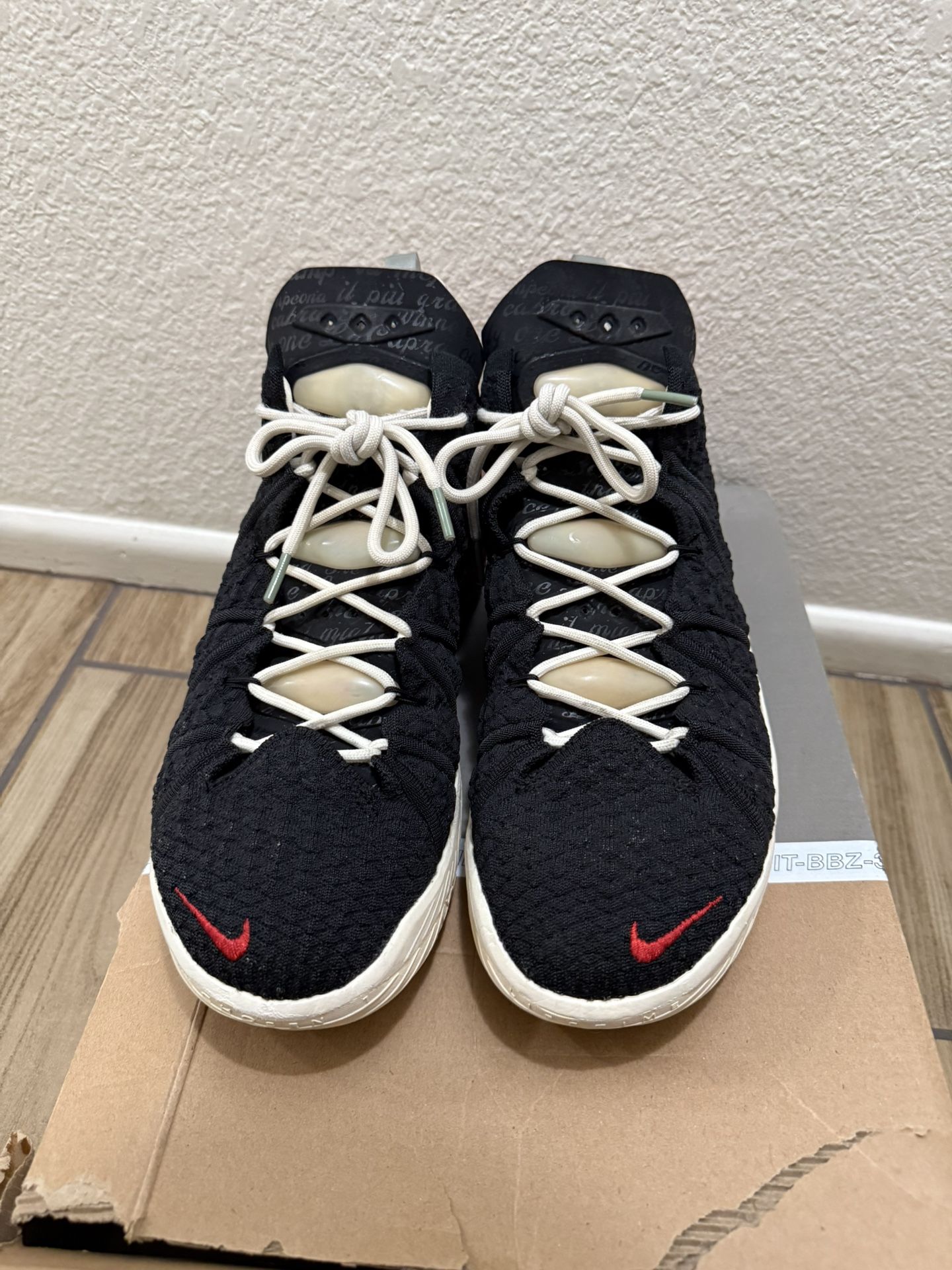 Nike Lebron