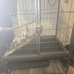 Big Cage 