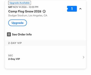 Camp flog Gnaw VIP ticket