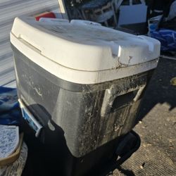 Igloo Cooler