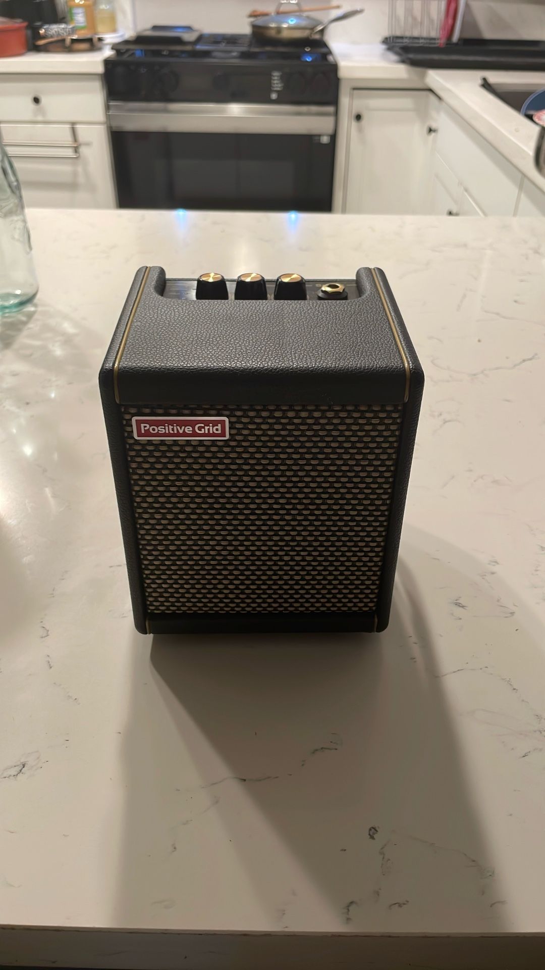 Positive Grid Spark Mini