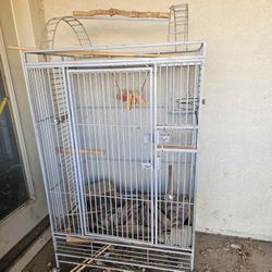 Bird Cage