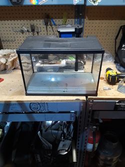 5 Gallon Aquarium With Filter And Sand