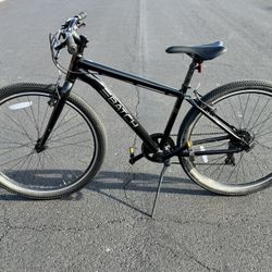 Batch Bicycle 16” 2020 Model