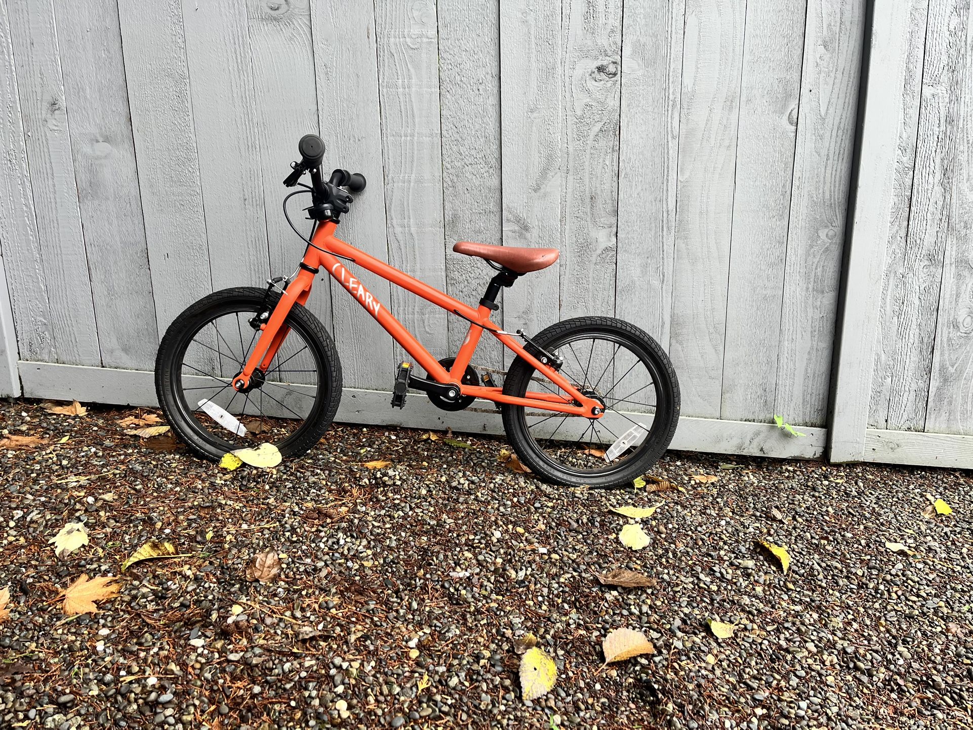 Cleary Gecko 12inch Kids Bike