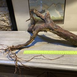 Aquarium/reptile Decor