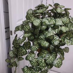 All Seasons Begonia Leaf Hanging Basket Everyday Faux Greenery