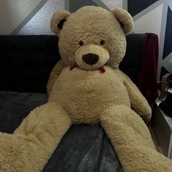 Big Teddy Bear 