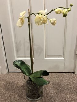 Artificial cream Orchid in Glass Vase