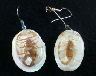 Scorpion Earrings